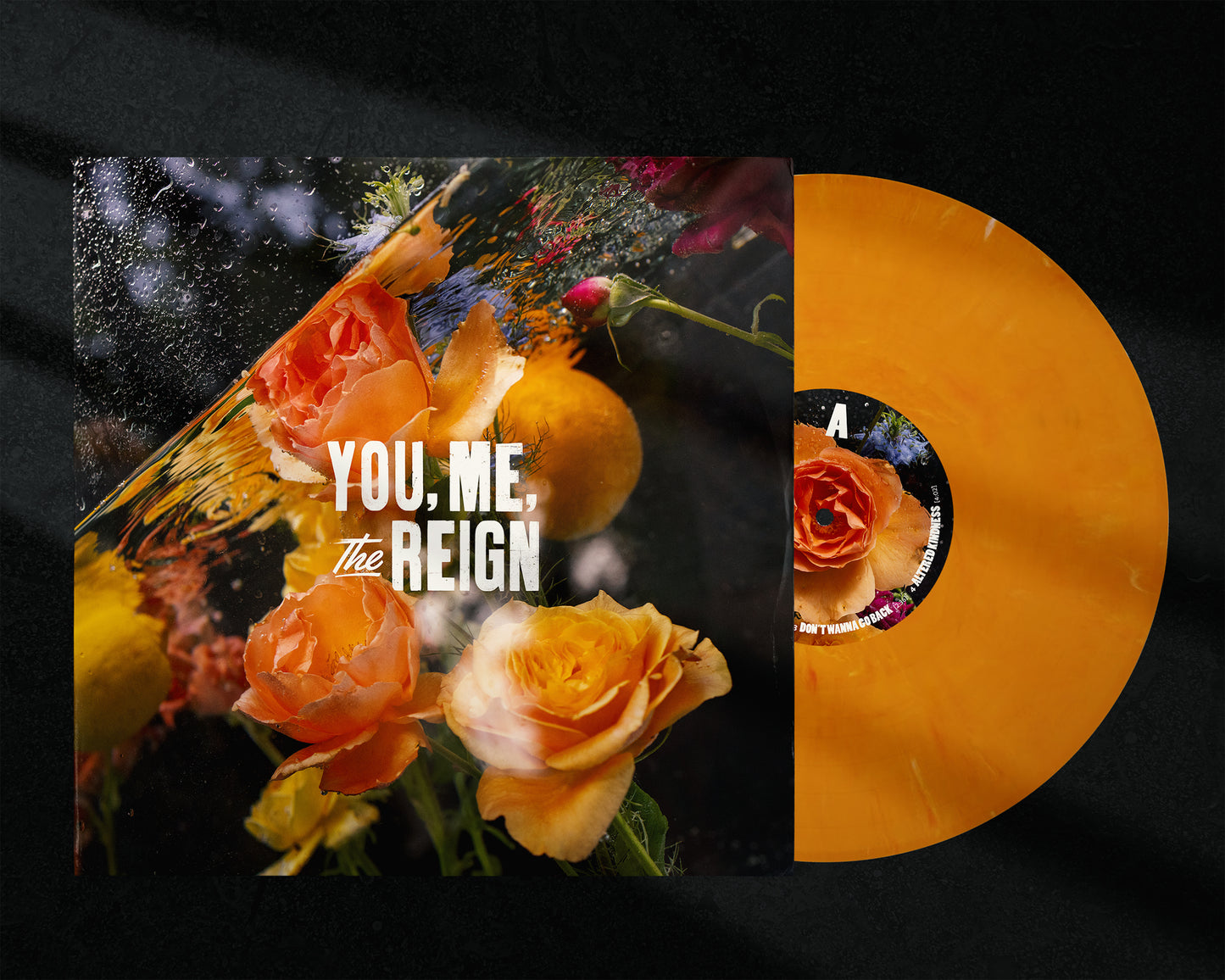 Micah E. Wood - 'You, Me, the Reign' (Limited Edition 12" Vinyl) PREORDER