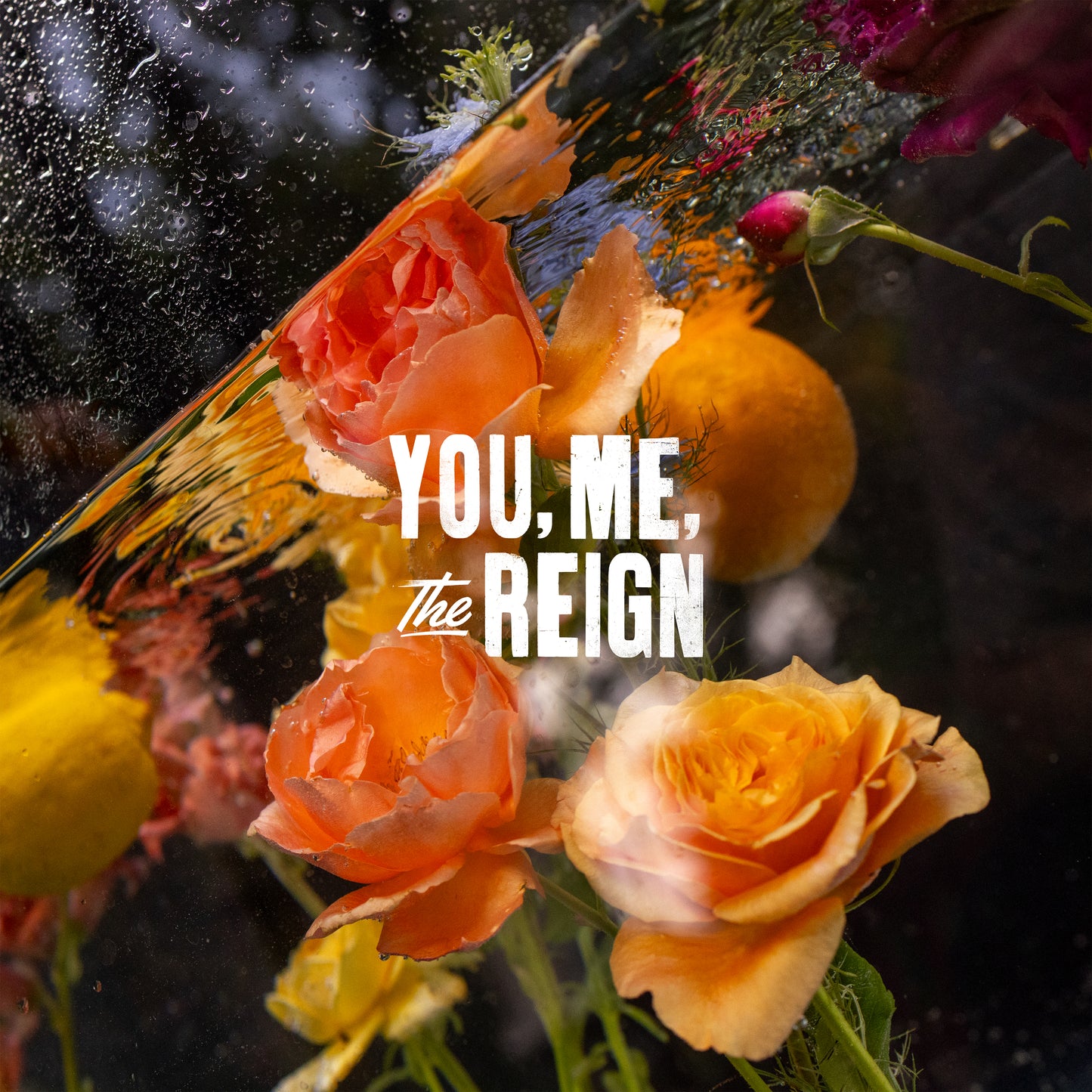 Micah E. Wood - 'You, Me, the Reign' (Limited Edition 12" Vinyl) PREORDER