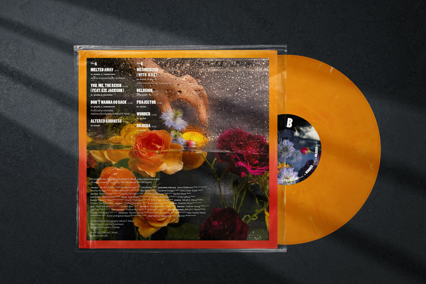 Micah E. Wood - 'You, Me, the Reign' (Limited Edition 12" Vinyl) PREORDER